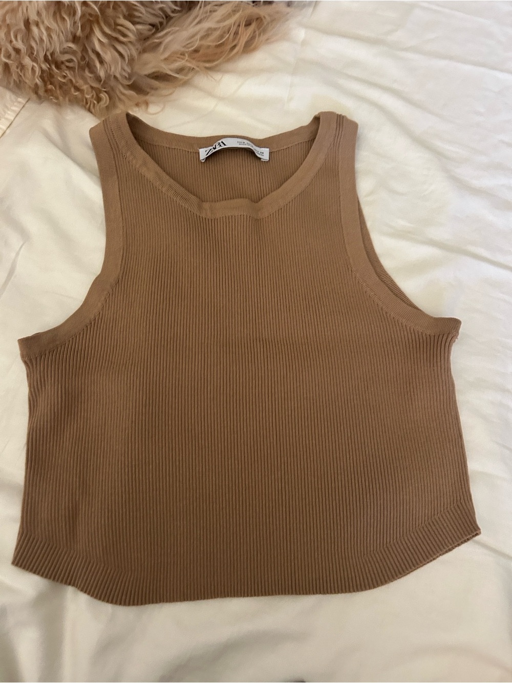 Zara Camel Ribbed Knit Tank Top